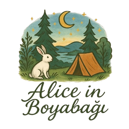 Alice in Boyabağı Camping